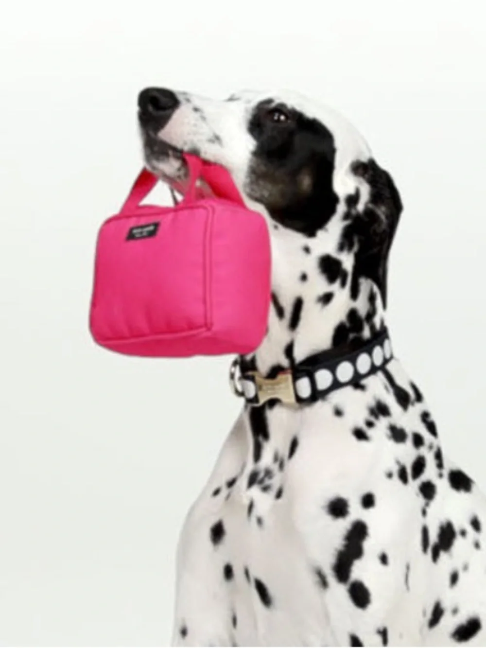 Kate Spade pink handbag dog toy NEW